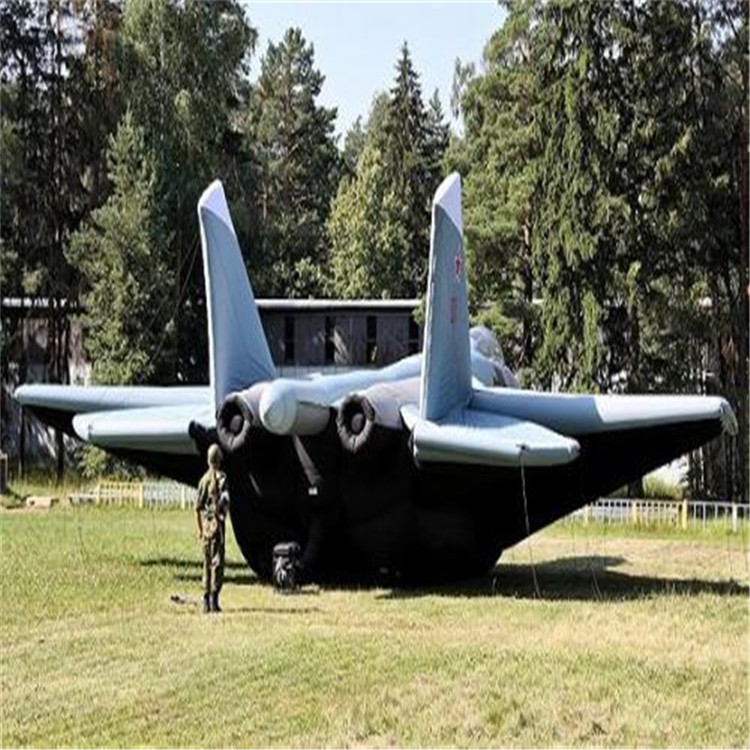 蚌山充气飞机模型